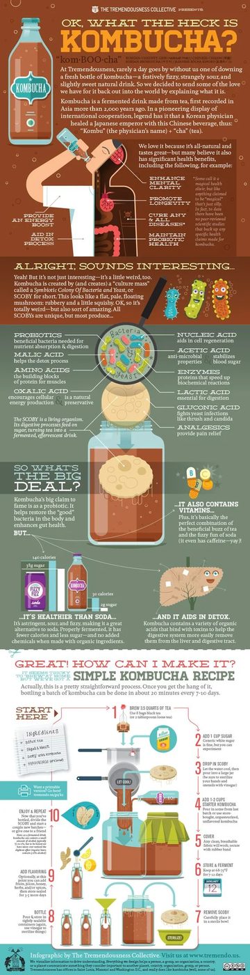 Infographic from The Tremendousness Collective: what kombucha is, the acids and vitamins it is said to contain, how it compares to soda, and a ten-step recipe for brewing a batch at home
